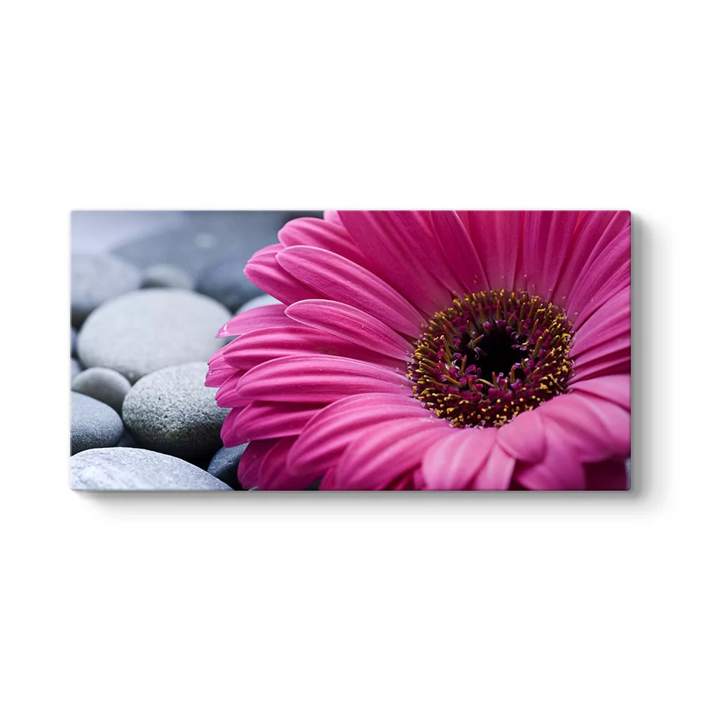 Gerbera & Taşlar Tablosu - Model 5